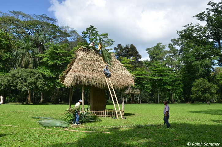 Palmdach eindecken in der Maya Stätte
