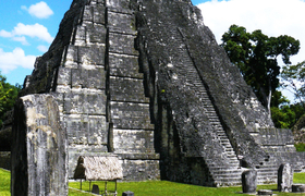 Große Pyramide in Tikal