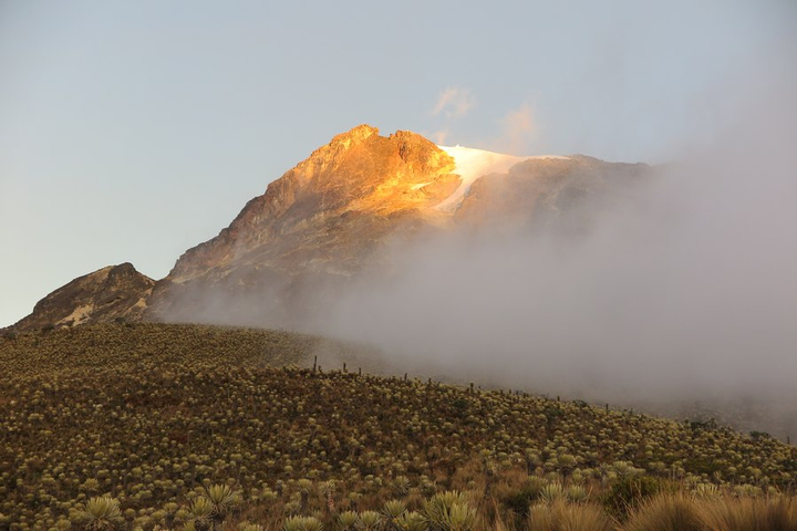 Los Nevados Nationalpark und Espletetia Gewächse