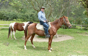 Pferderanch