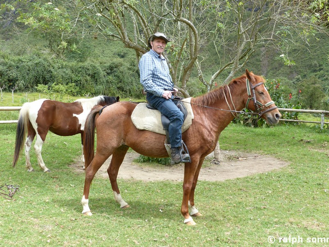 Pferderanch