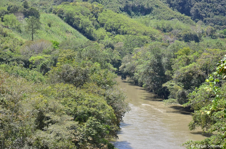 Landschaft am Fluß Alta Verapaz