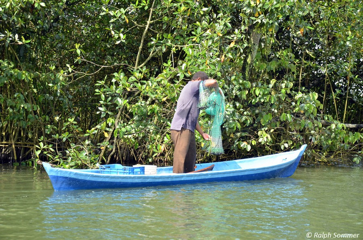 Fischer mit Wurfnetz im Río Dulce