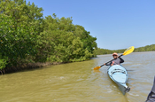 Kayaking bei den Mangroven