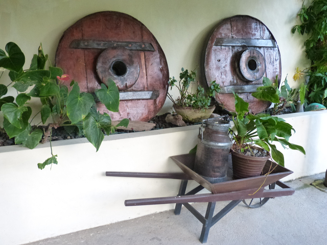 Im Hotel Charco Verde auf Ometepe