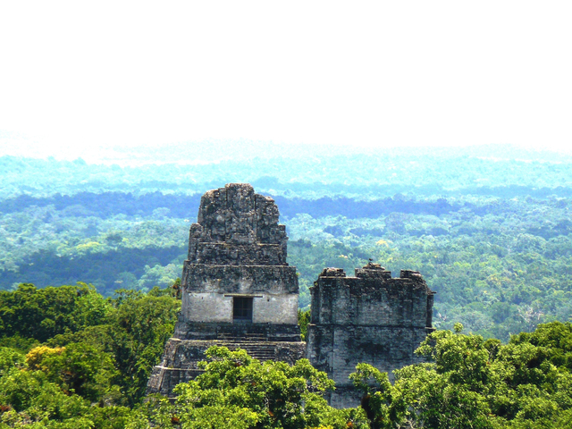 Spitzen der Pyramiden in Tikal