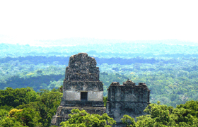 Spitzen der Pyramiden in Tikal
