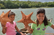 Kinder halten Seesterne auf dem Río Dulce