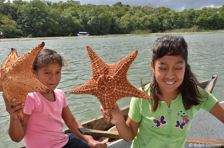 Kinder halten Seesterne auf dem Río Dulce