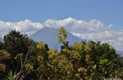 Szenerie Vulkan Pacaya