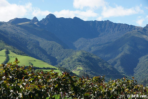 Landschaft am Pasochoa 