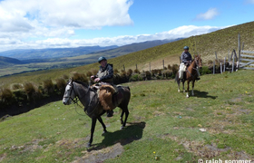 Reitfarm