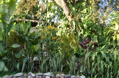 Garten im Hotel Marina in Copán (Honduras)
