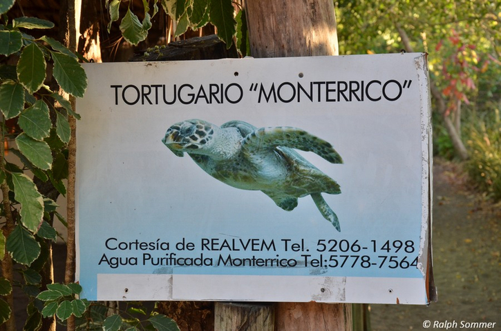 Tortugario am Pazifikstrand in Monterrico