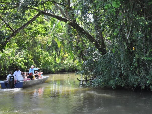 Nationalpark Tortuguero Costa Rica Pure Centralamerica