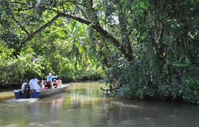 Nationalpark Tortuguero Costa Rica Pure Centralamerica