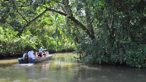 Nationalpark Tortuguero Costa Rica Pure Centralamerica