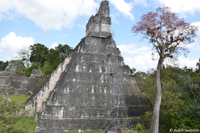 Jaguar Pyramide Tempel 1