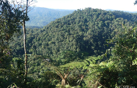 Maquipucuna
