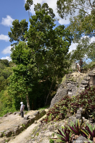 Mayastadt Akropolis in Tikal