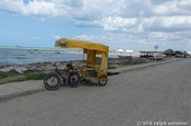 Fahrradtaxi am Meer