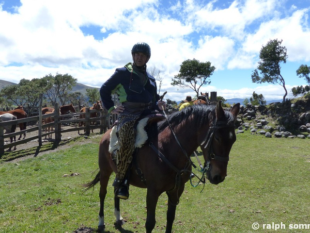 Reitfarm