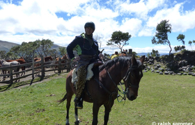Reitfarm