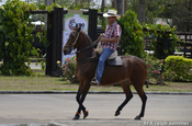 Cowboy in Villavicencio