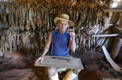 Zigarrenroller der kubanischen Havanna