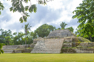 Altun Ha Pyramide Belize