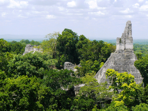 Blick über Tikal