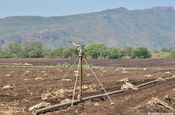 Bewässerungssystem auf Zuckerrohrfeld