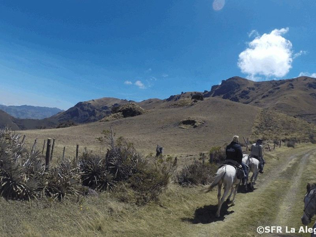 Reiten im Andenhochland