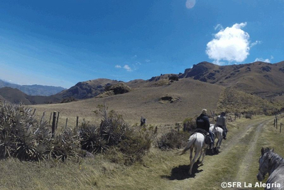 Reiten im Andenhochland