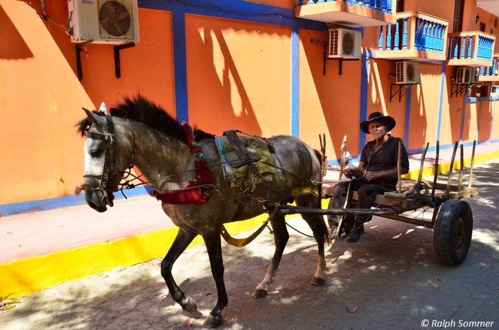Pferdegespann in Masachapa Nicaragua