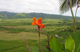 Das Tal von Trinidad