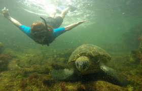 Mit Meeresschildkröte bei Los Tuneles, Galapagos