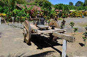 Ochsenkarre auf Ometepe