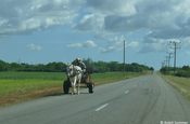 Pferdekutsche auf der Straße nach Cienfuegos