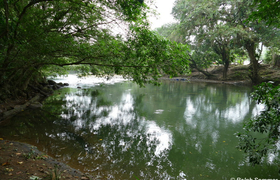Rio Silanche 