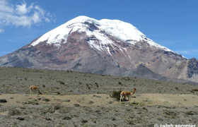 Vulkan Chimborazo