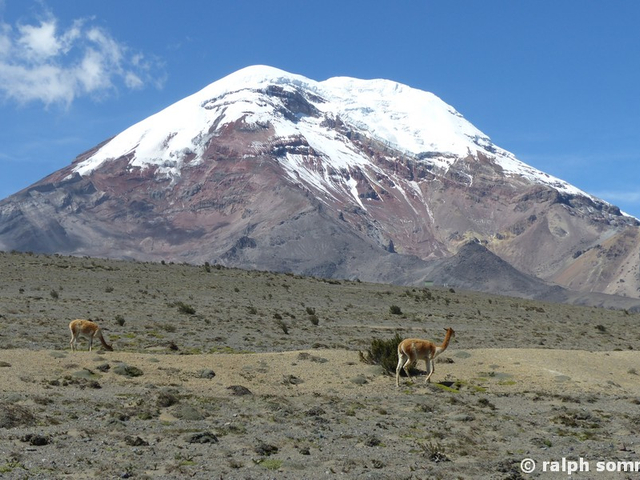 Vulkan Chimborazo