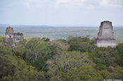 Maya Pyramiden in Tikal