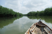 Mit Holzkanu durch das Mangrovengebiet