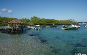 Angestellte in Las Tintoreras, Galapagos