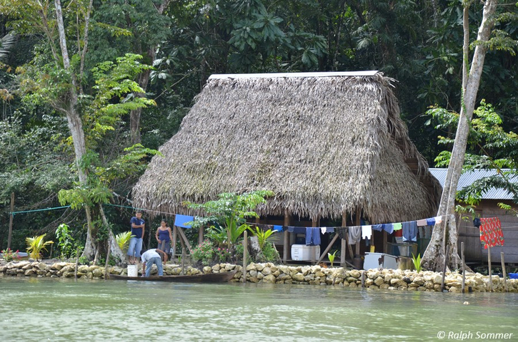 Palmhütten am Río Dulce