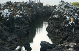 Tintoreras Kanal