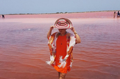 Rotes Algenwasser am Strand von Galerazamba