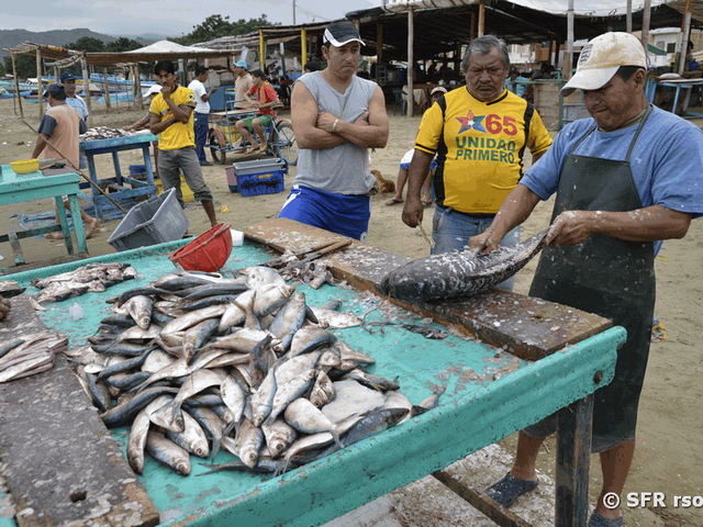 Fische entschuppen Ecuador