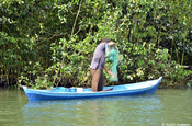 Fischer mit Wurfnetz auf dem Rio Dulce